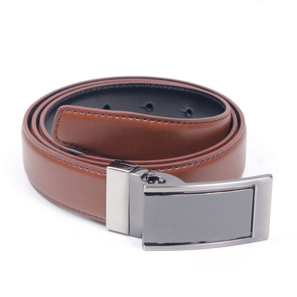 Reversible Plaque Belt